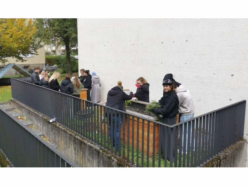 Überwinterung der schulinternen Hochbeete 