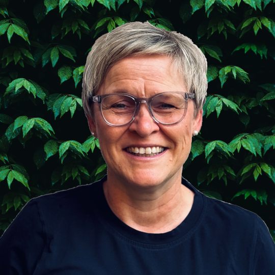 StDin Brigitte Brem